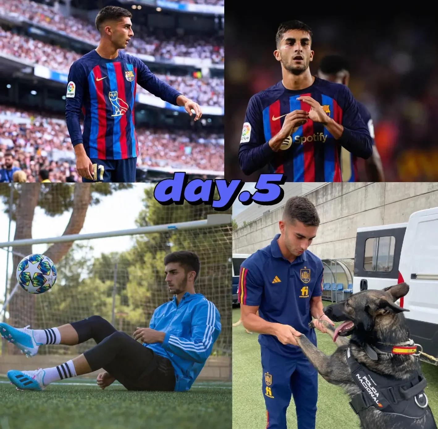 开云体育直播-曼城翻盘比利时,费兰·托雷斯高光表现的简单介绍