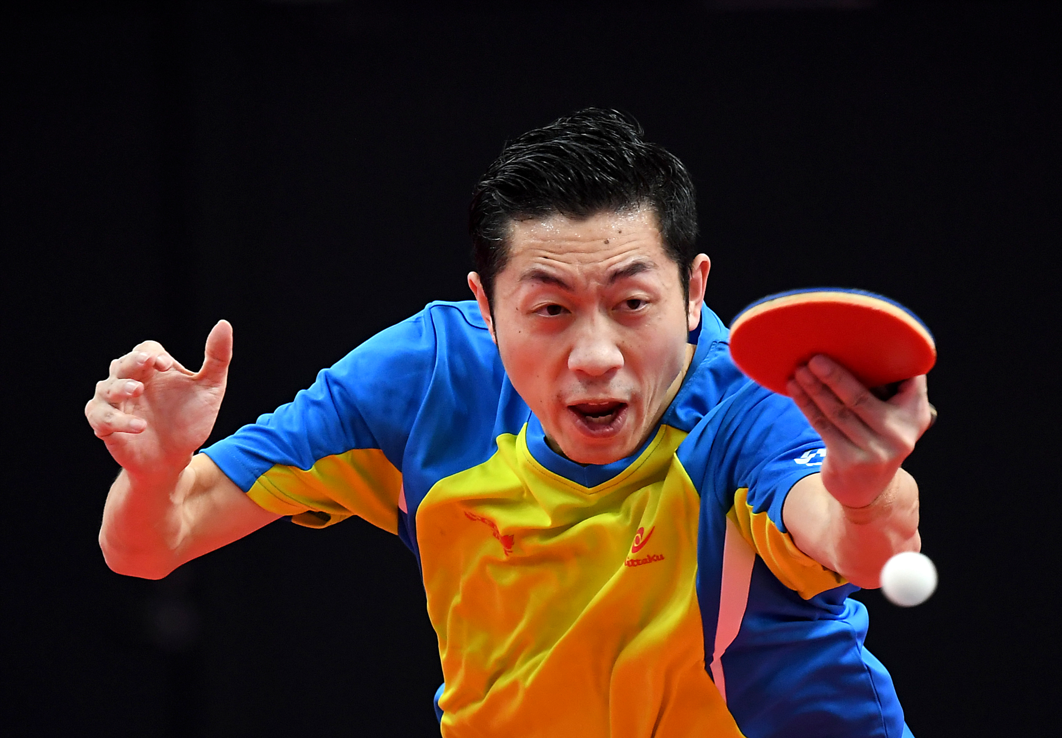 日本乒乓球队轻取韩国乒乓球队,许昕惊艳世界的简单介绍 日本乒乓球队轻取韩国乒乓球队,许昕惊艳世界的简单介绍