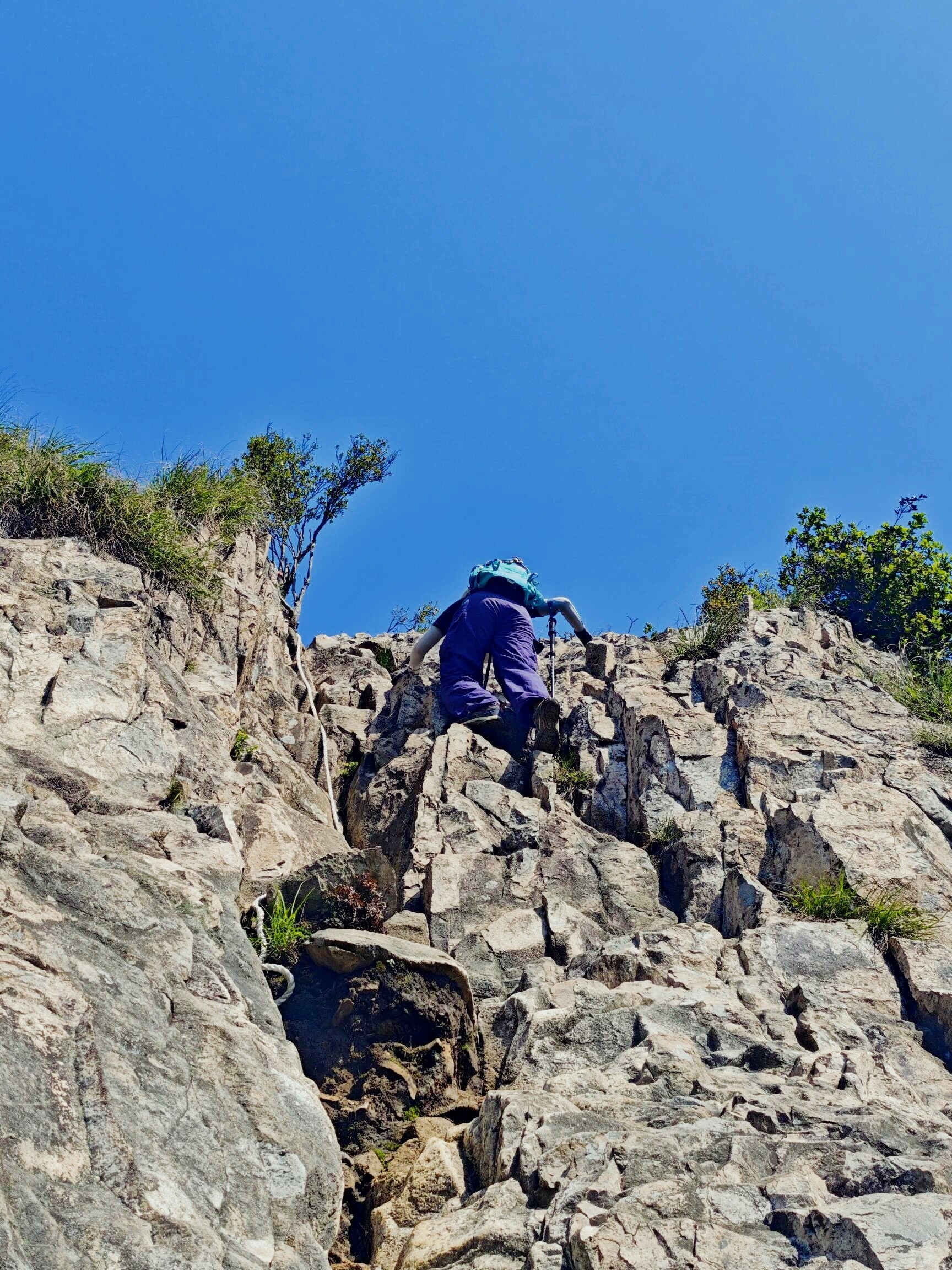 开云官网-包含探寻极限:攀岩比赛中选手挑战高难度路线的词条